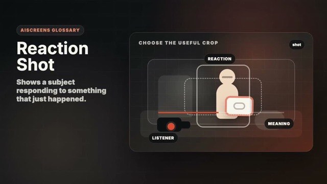 Visual example of Reaction Shot