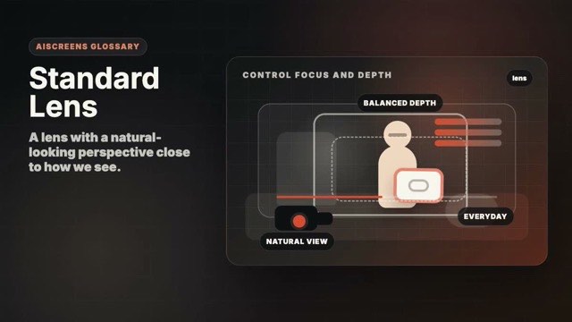 Visual example of Standard Lens